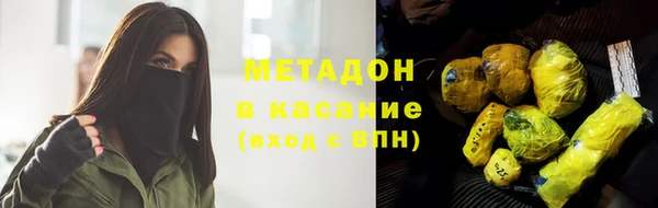 прущие грибы Ладушкин
