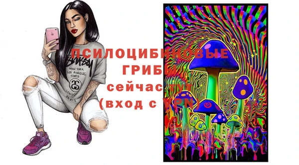 метадон Коряжма