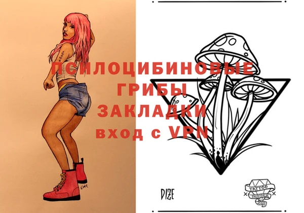 мдпв Костерёво
