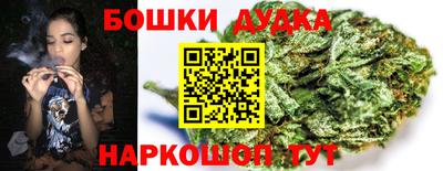 PSILOCYBIN Ирбит
