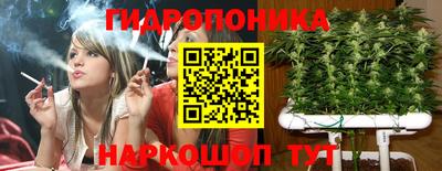 прущие грибы Абинск