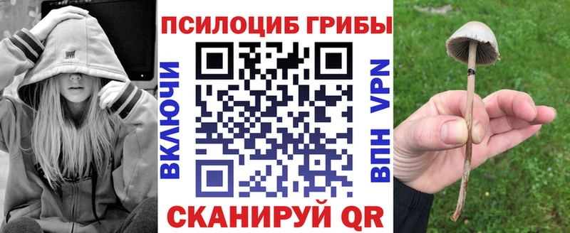 Галлюциногенные грибы мицелий  Усть-Илимск 