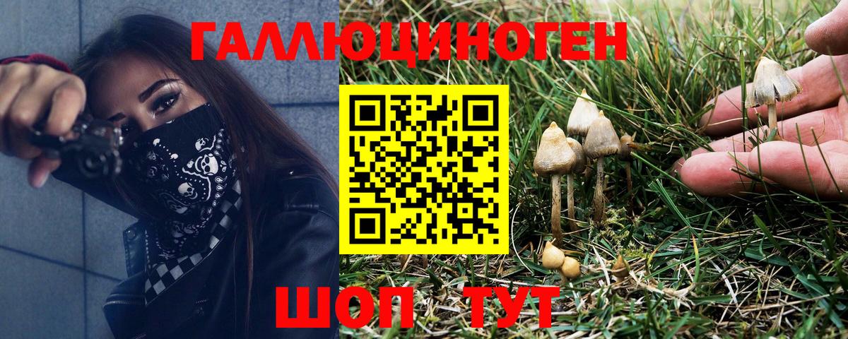 Псилоцибиновые грибы мицелий  Вход с VPN  Галлюциногенные грибы Psilocybe  Усть-Илимск 