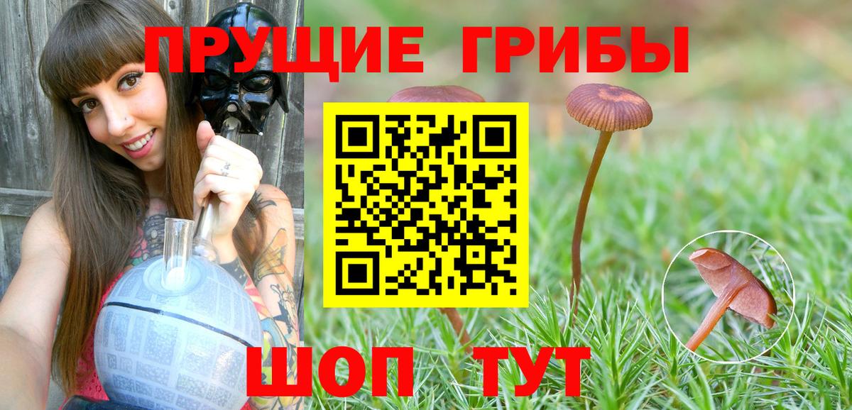 Галлюциногенные грибы Cubensis Усть-Илимск