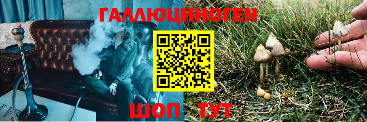 Псилоцибиновые грибы мицелий Усть-Илимск